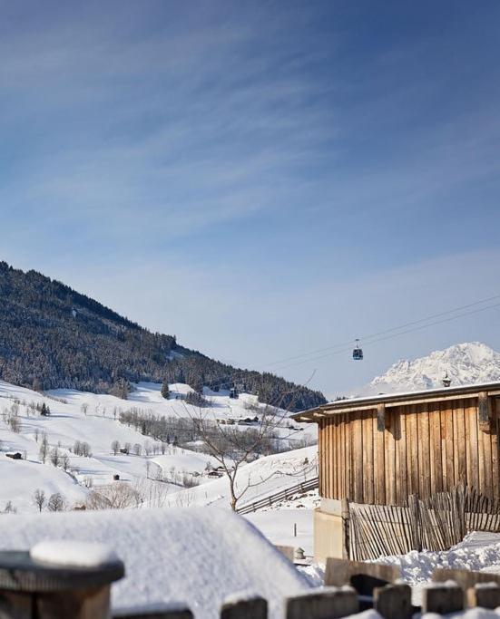 Lohningbauer Villa Maria Alm am Steinernen Meer Ngoại thất bức ảnh